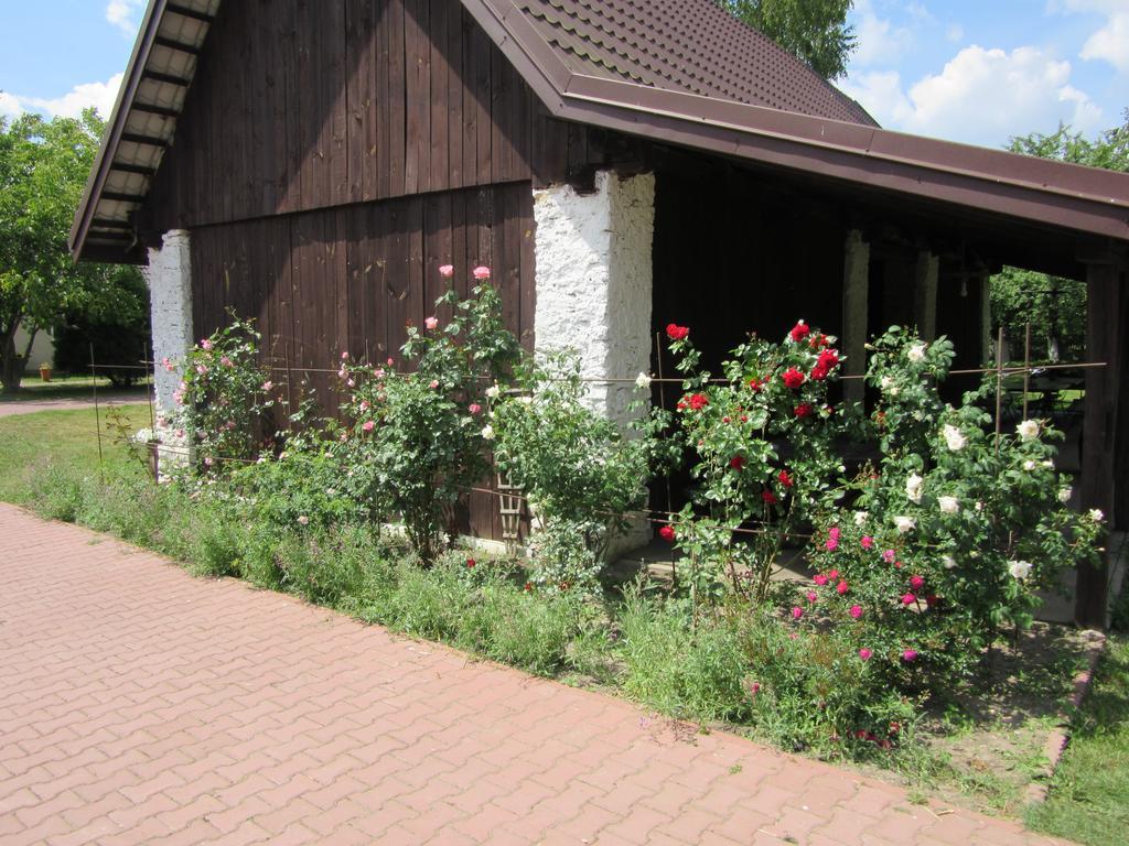 Gospodarstwo Agroturystyczno-edukacyjne Gratka Celiny (Gmina Rakow, Kielce)